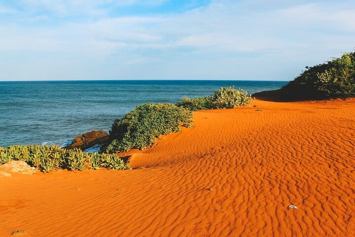 One Day Safari Tour to Bundala National Park from Colombo 6