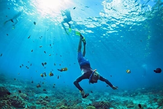 Full Day Coral Garden Snorkeling & Diving with Lunch - Marsa Alam