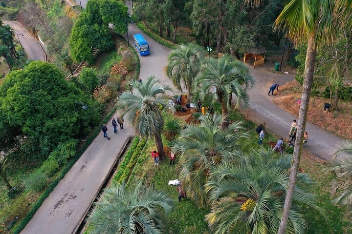 4 Full days in Georgia with private tour, free aiport