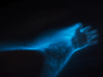 Bioluminescence Kayak Tour at Waiake Beach in Auckland