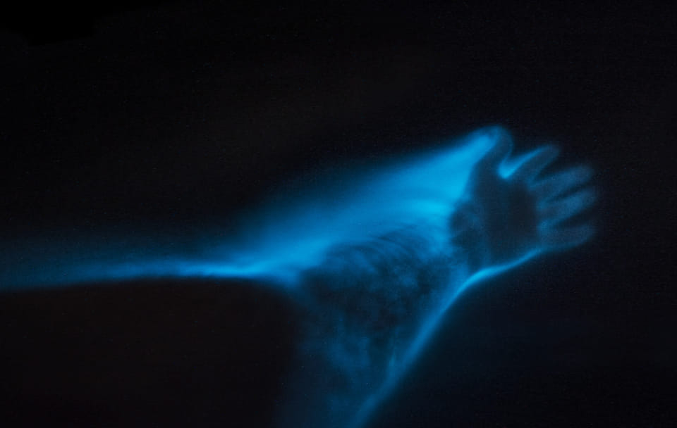 Bioluminescence Kayak Tour at Waiake Beach in Auckland