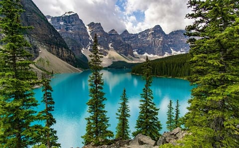 Explore Moraine, Lake Louise, Emerald & Peyto Lakes from Calgary