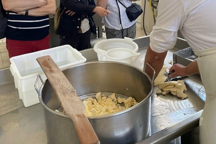Family-Run Farm Near Ostuni: Mozzarella Experience with Tasting 3