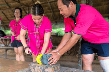 Chiang Mai: Ethical Elephant Sanctuary Full Day Tour & Lunch