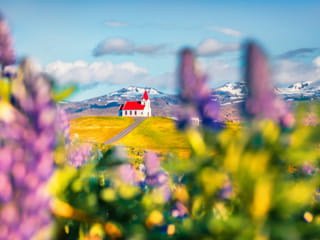 Private Snæfellsnes Peninsula Tour with Multilingual Guide (PL / EN / ES / ZH), photo 6