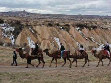 Daytime Camel Tour
