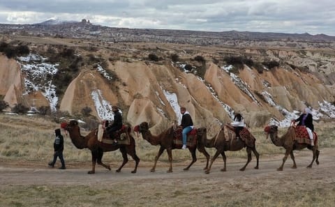 Camel Ride Tour in Göreme, Cappadocia at Sunrise or Sunset