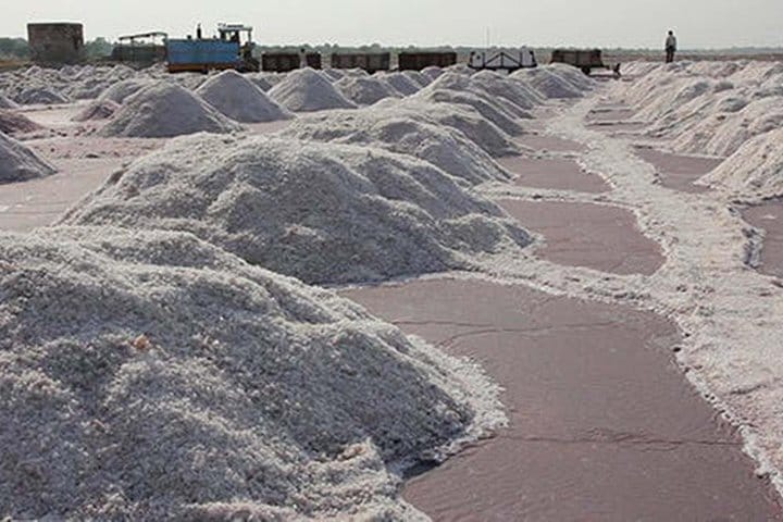 Jaipur Heritage walk Tour