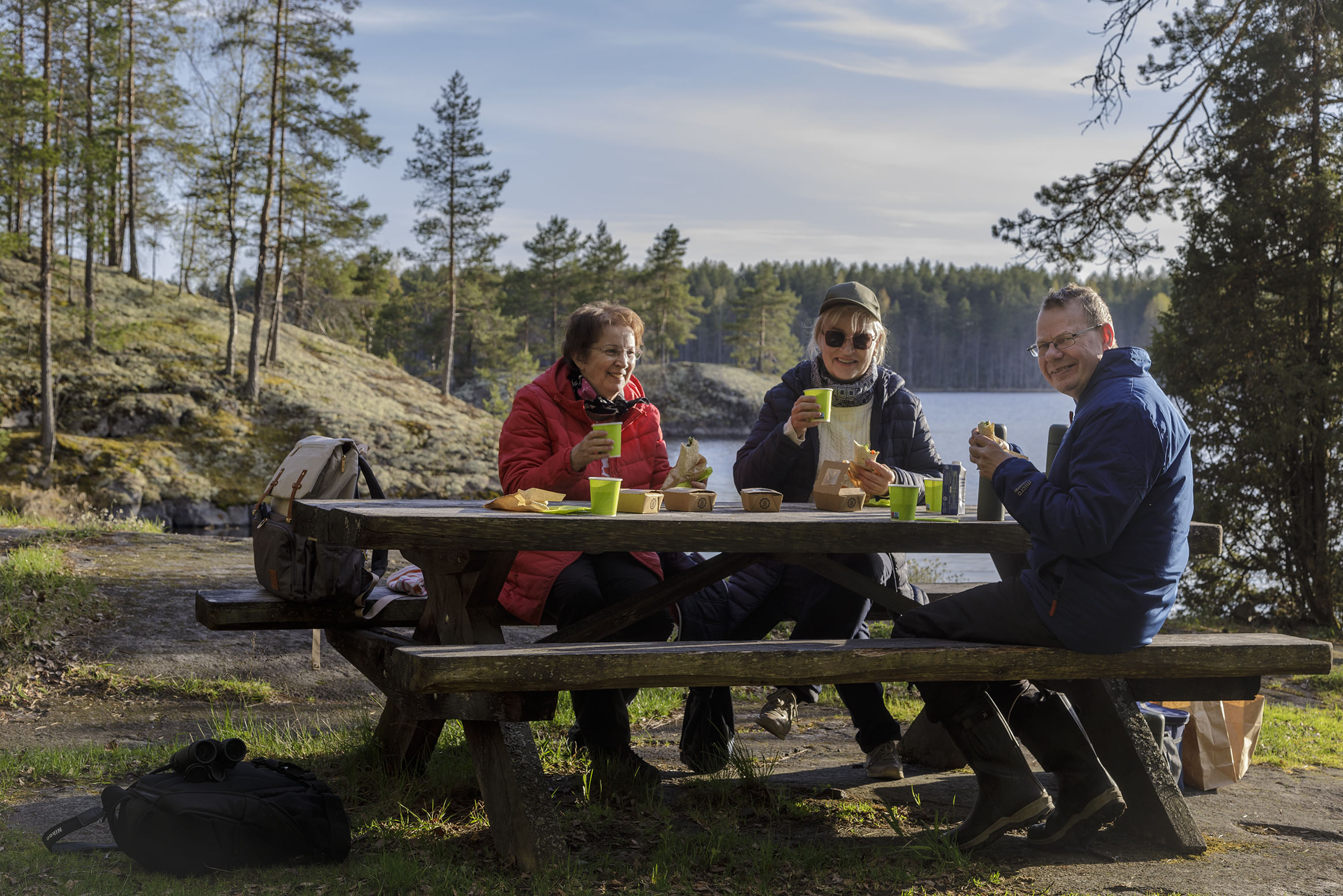 Group enjoying picnic