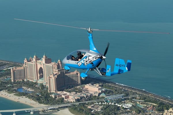 Gyrocopter The Palm