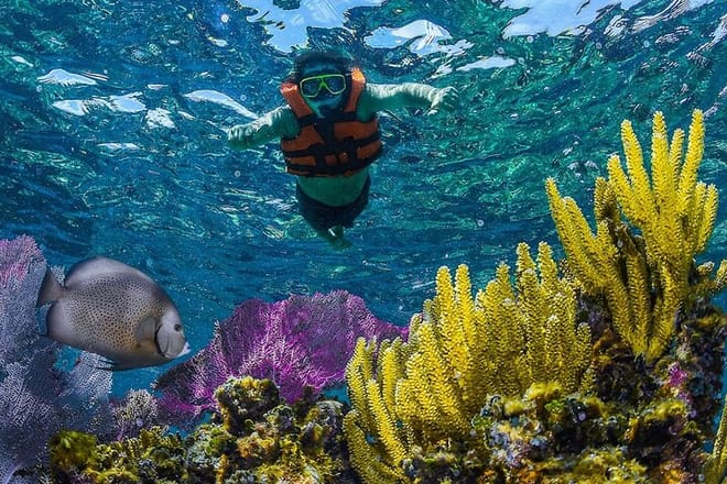 Half Day Guided Snorkeling Adventure in Puerto Morelos 4