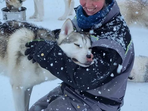 Siberian Husky Kennel Visit, photo 3