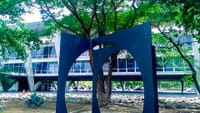 MAM & IRON STRUCTURE