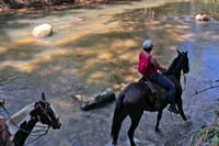 Horseback riding in the Atlantic forest BY PARATY TOURS 8