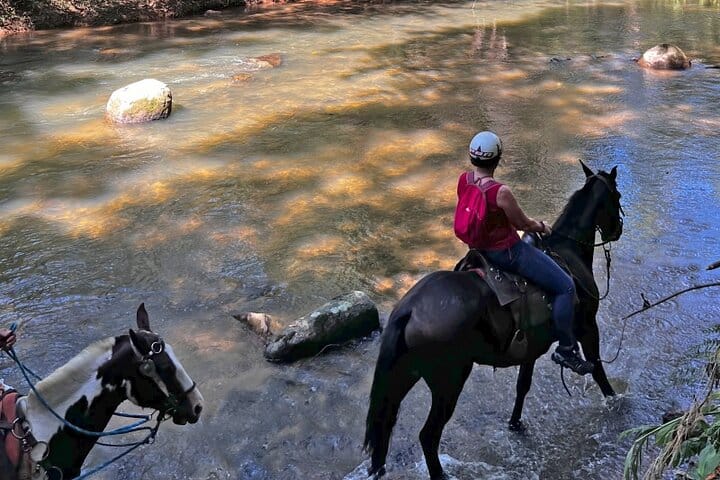 Horseback riding in the Atlantic forest BY PARATY TOURS 8