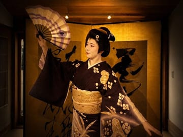 Tokyo Geisha Experience: Rare Cultural Show & Interaction