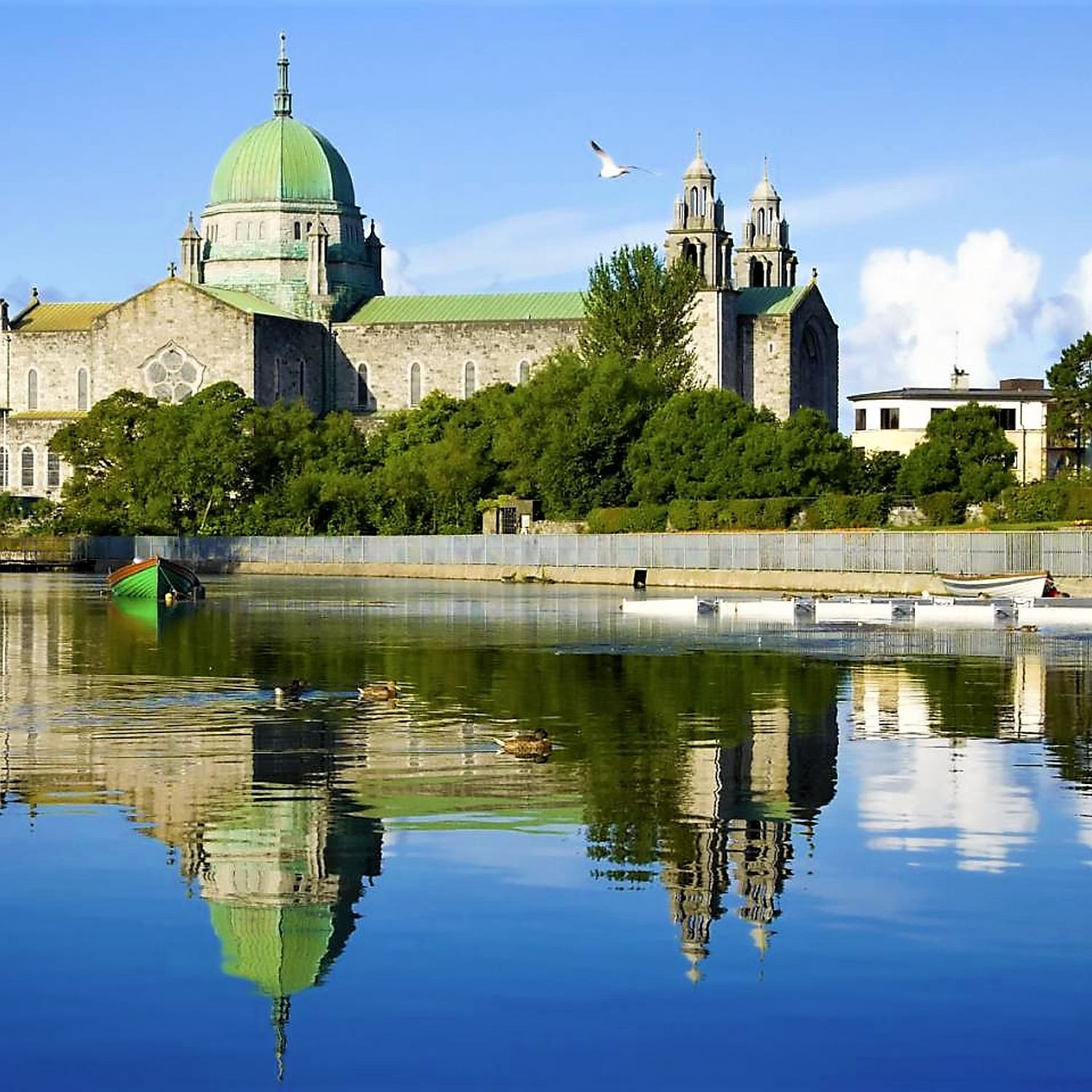 Scenic cruise of Corrib river & lake. Galway City. Guided.