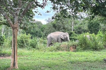 Private Day Trip to Kui Buri from Hua Hin
