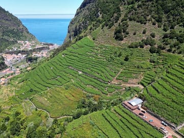 4x4 Wine Tour and Scenic Views in Funchal, Portugal