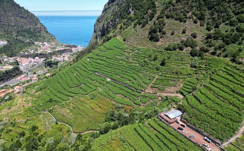4x4 Wine Tour and Scenic Views in Funchal, Portugal