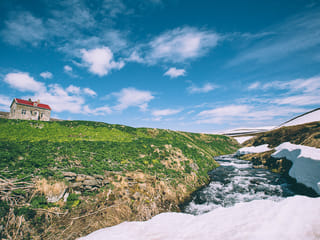Midnight Sun & Arctic Foxes, photo 11