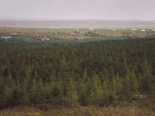 Private Golden Circle tour , photo 11