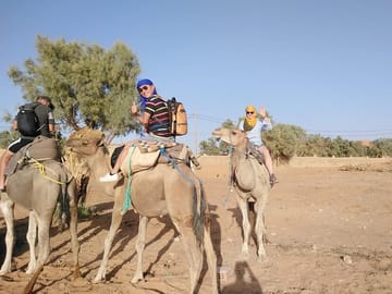 Riding camel