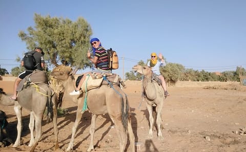 Private 3-Day Luxury Desert Tour from Fes to Marrakech