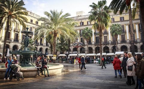 Guided Walking Tour of Barcelona's Gothic Quarter and Cathedral