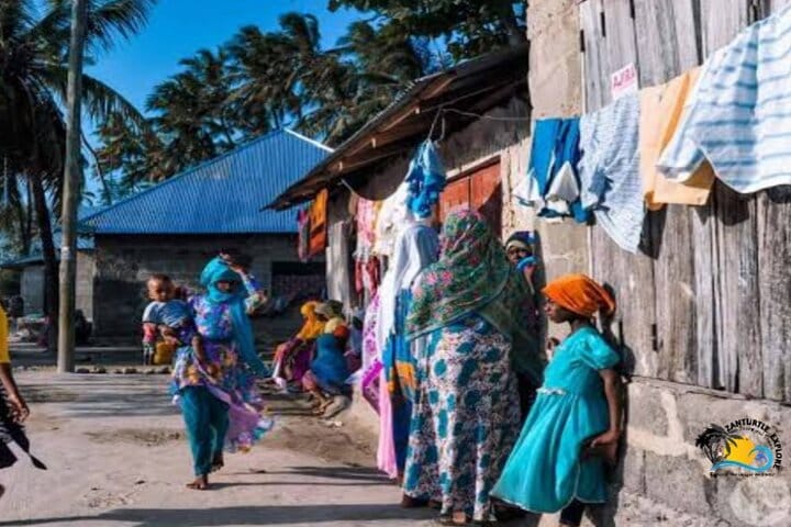Mnemba Island Dolphins Watching and Snorkeling