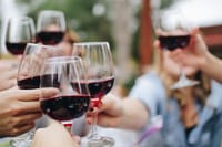 Wine tasting tour 4