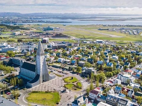 4 Hours Private Guided Tour in Reykjavík, photo 3