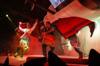 Foz: Private Guide & Transfer to Shared Dinner Show Experience 5