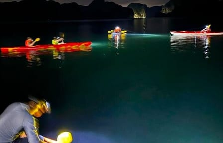 3-Day Explore the Beauty of Cat Ba National Park & Lan Ha Bay