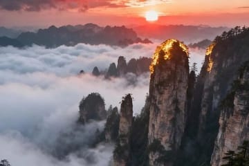 Yellow Mountain Geology and Nature Day Tour in China