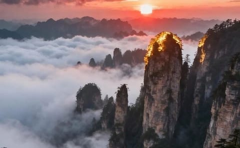 Yellow Mountain Geology and Nature Day Tour in China