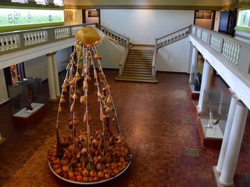 Private Guided Tour of Nairobi National Museum and Snake Park