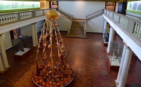 Private Guided Tour of Nairobi National Museum and Snake Park
