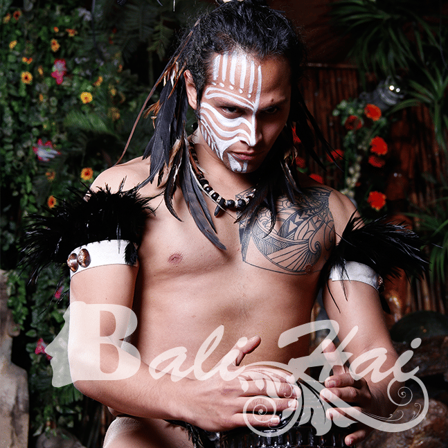 Chilean Folklore Show and Dinner with Private Transport 8