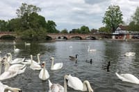 Private Full-Day Tour of Shakespeare's Stratford-Upon-Avon 3