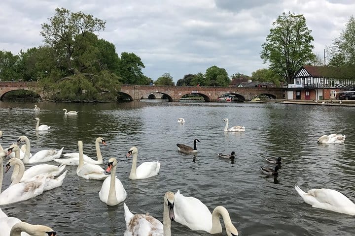 Private Full-Day Tour of Shakespeare's Stratford-Upon-Avon 3