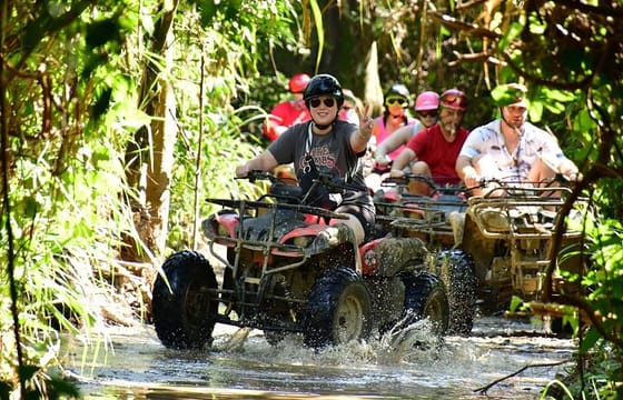 Roatán Shore Excursions: Wildlife + ATV/Buggy & Beach(1Beer/pp)