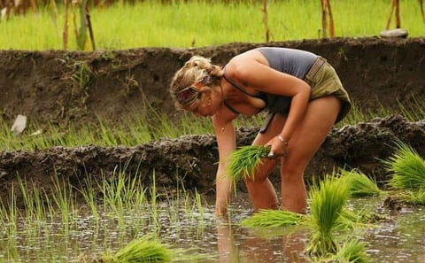 Rice Farming Tour in Bhaktapur, Kathmandu Valley