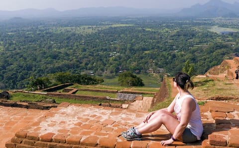 Sigiriya Rock Fortress and Minneriya Safari Day Tour from Colombo