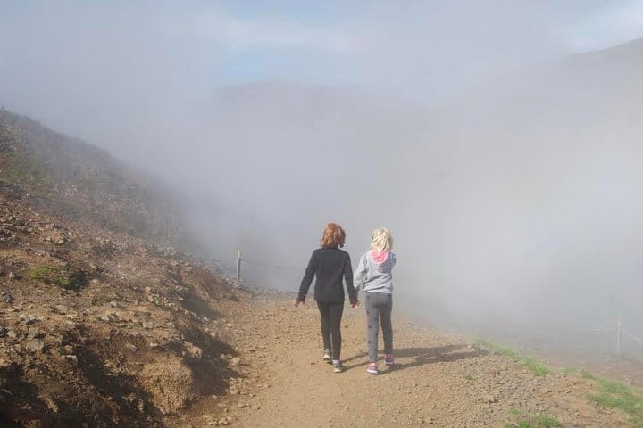 PRIVATE Reykjadalur Hike, from Reykjavík 5