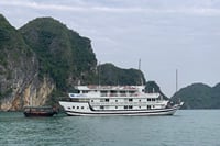 From Hanoi: Ninh Binh Tour and Ha Long Bay Cruise 3-Day Trip