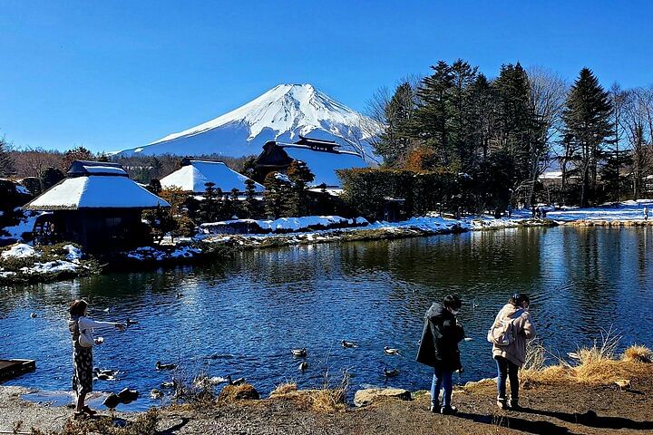 2 Days Private Tour: Tokyo / Mt Fuji and Hakone