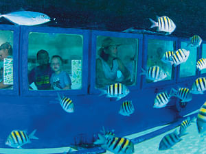 Underwater Exploration Tour by Glass Bottom Boat in Cancun