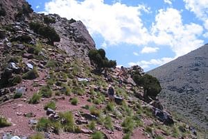 High Atlas Mountains Special One Day Tour from Marrakech