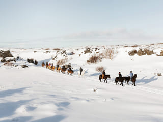 Lava Tour - Horseback Riding through the Lava Fields, photo 27